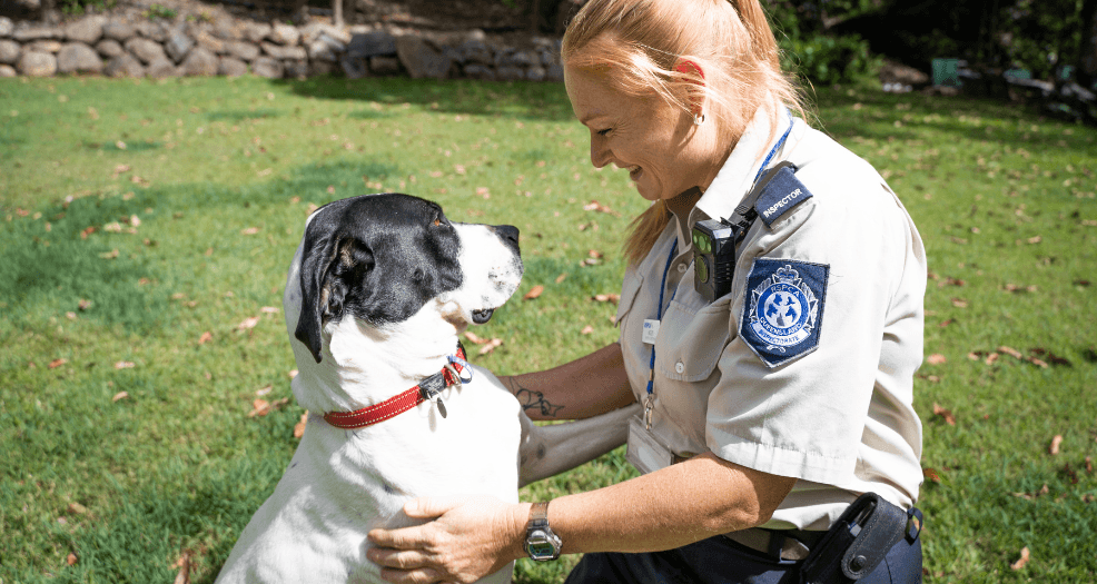 Inspector Helen and Elly